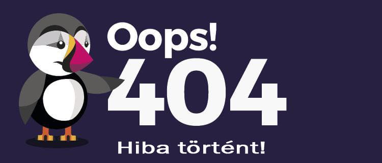 404 error