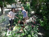 viragultetes_2020-09-08_16_05_16.jpg
