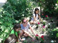 viragultetes_2_2020-09-08_16_05_16.jpg