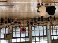 IMG0649_2024-10-14_09_32_22.JPG