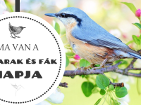 Madarak és fák napja hír borítója